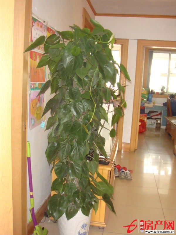 出租龍泉苑小區房，拎包即住設施齊全
