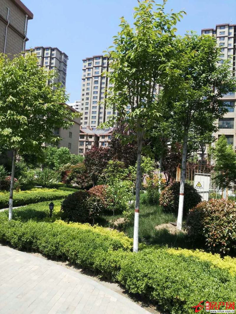 善南小區(qū)多層高，簡裝，有證，含儲有暖