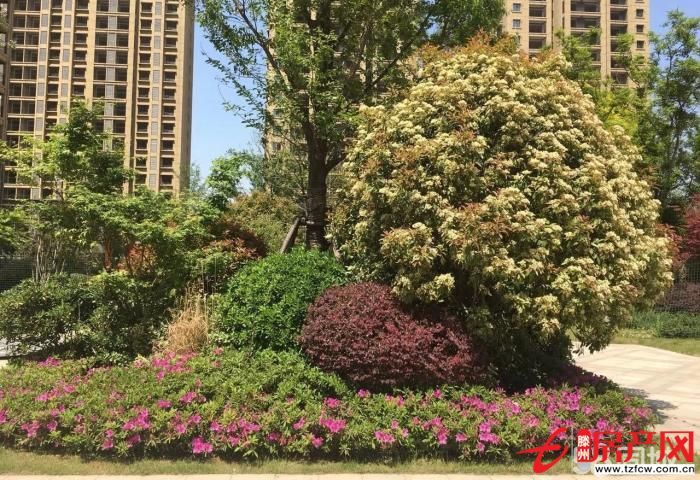 金河灣兩室兩廳好樓層實驗小學學區房，荊河公園對面，全款