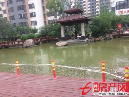 人和天地三室兩廳黃金樓層南北通透送儲(chǔ)藏室送物業(yè)費(fèi)