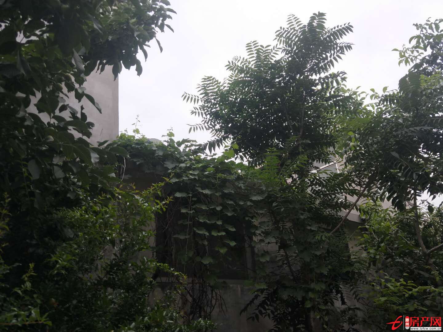 獨(dú)院一座，方便清凈